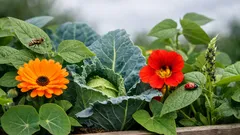 Companion planting in the UK: flowers that protect your veg patch naturally